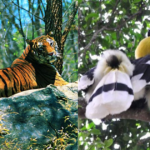 Arunachal Pradesh National Parks