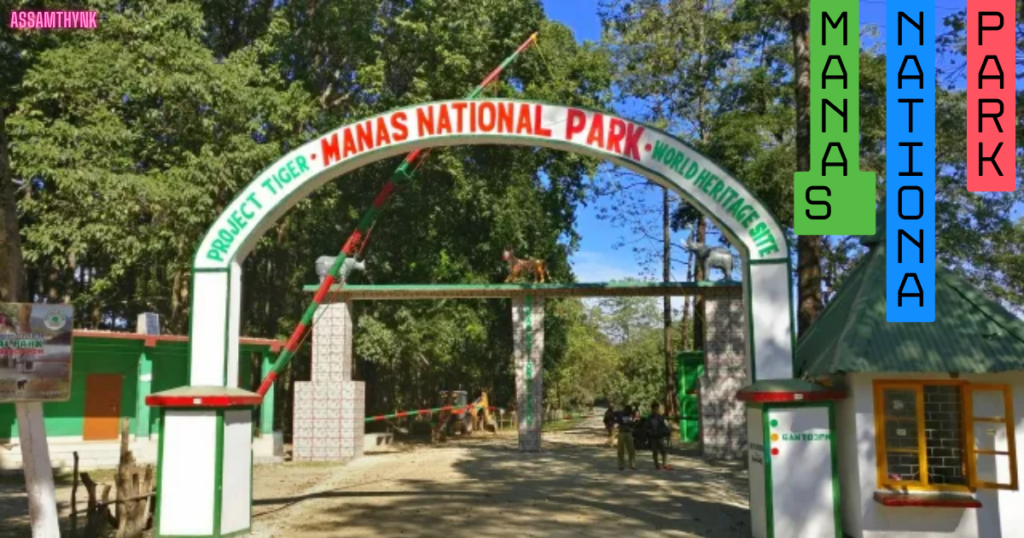  Manas National Parks 