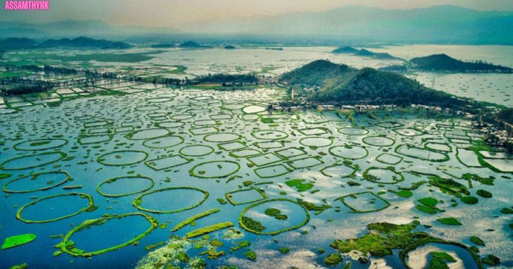 a aerial view of a lake with many circles and a hill