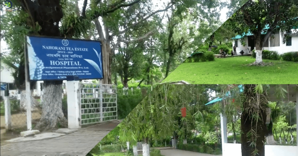 Nahorani Tea Estate