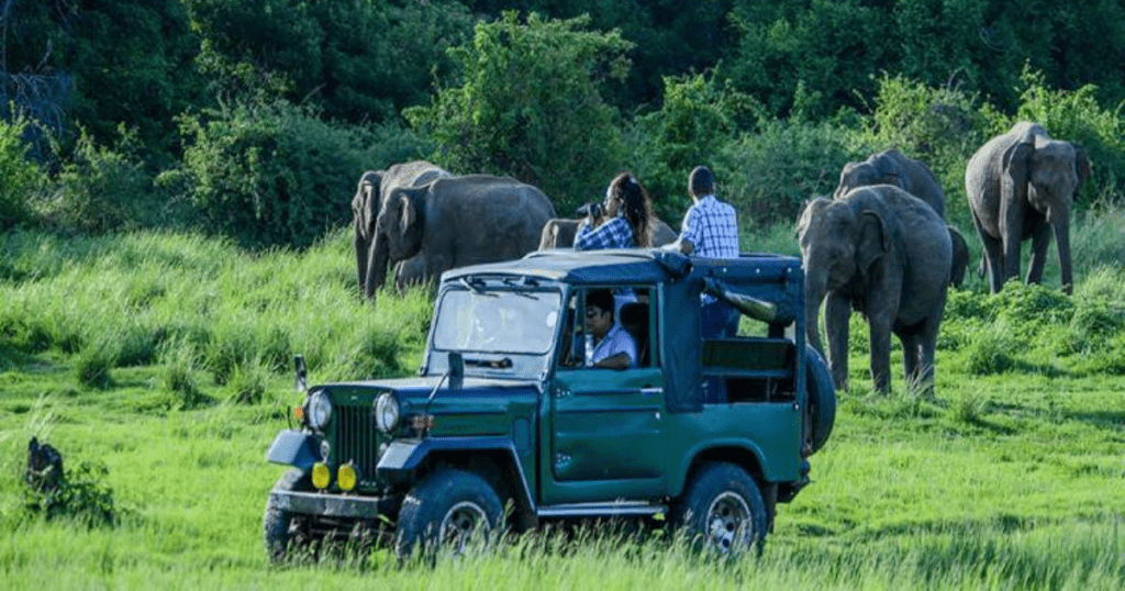 Best Time for a Jeep Safari