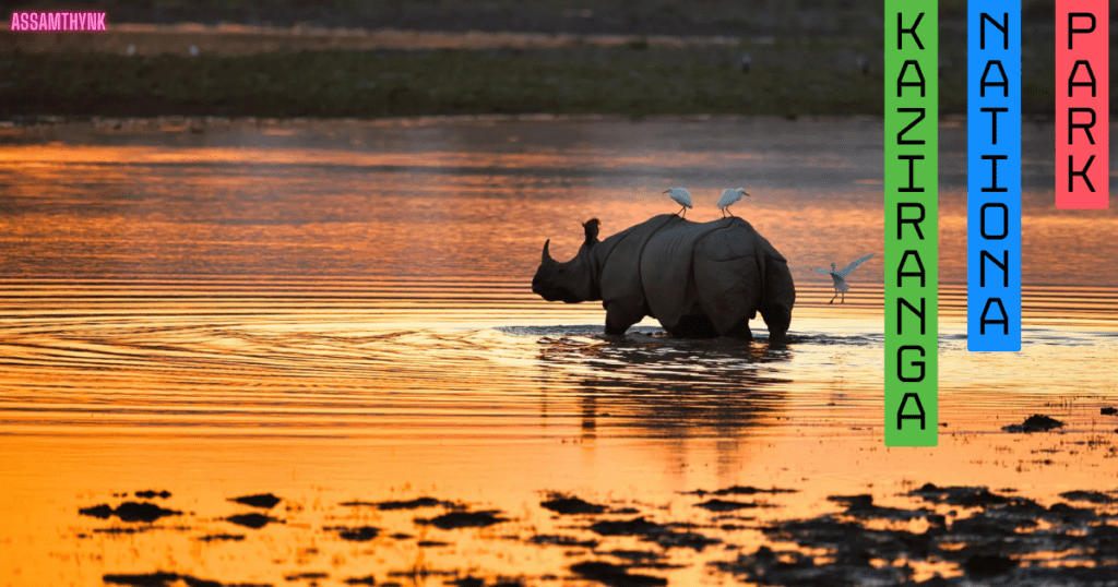 kaziranga nationa park