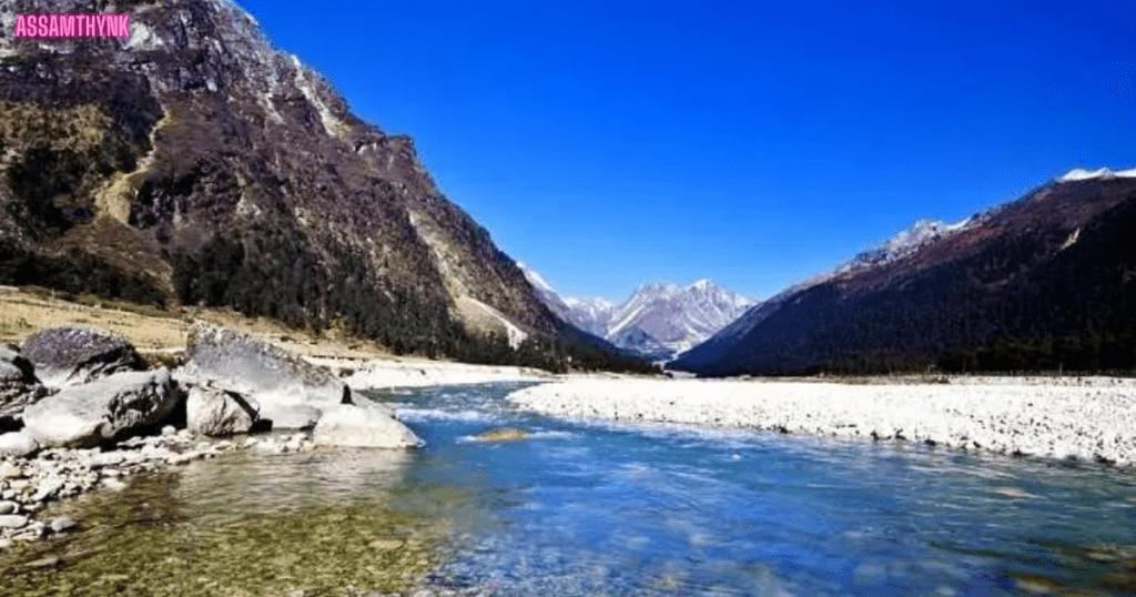 Yumthang Valley 