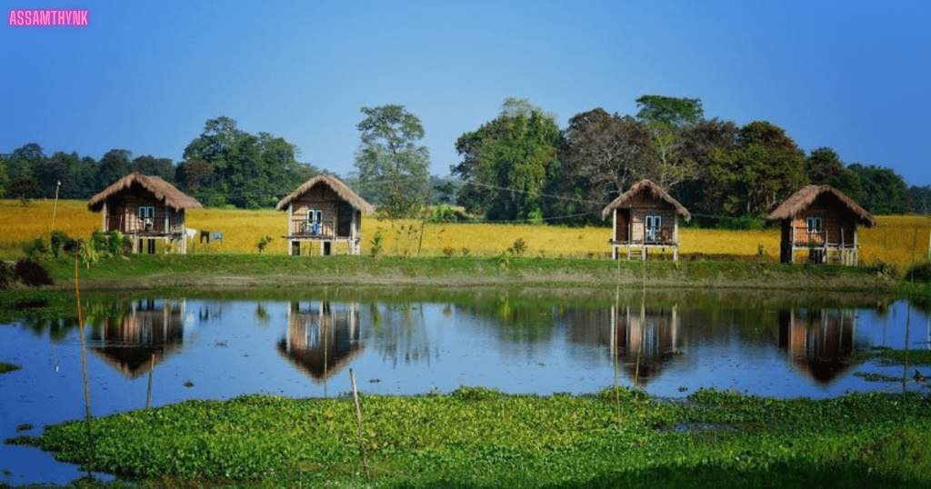 majuli