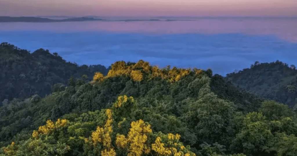 Top 5 places to visit Tripura
