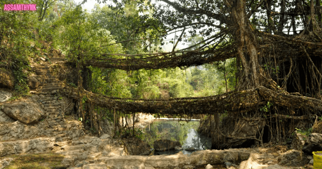 Cherrapunji