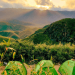 Dzukou Valley