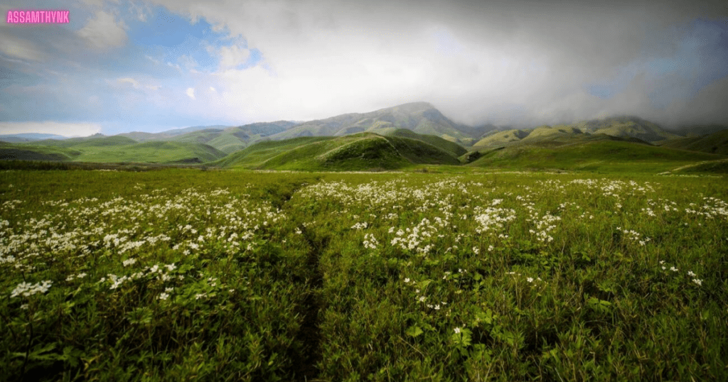 Dzukou Valley