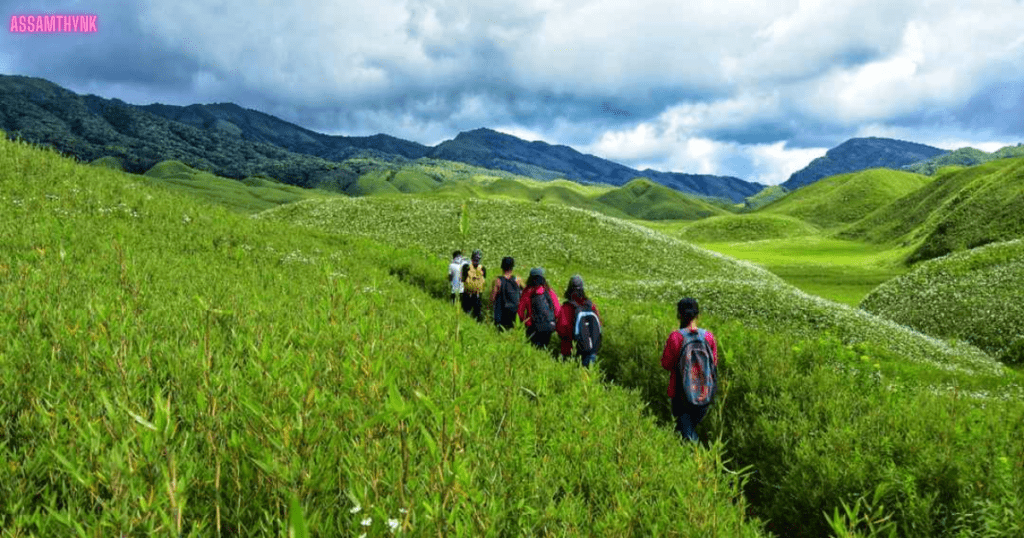 Dzukou Valley