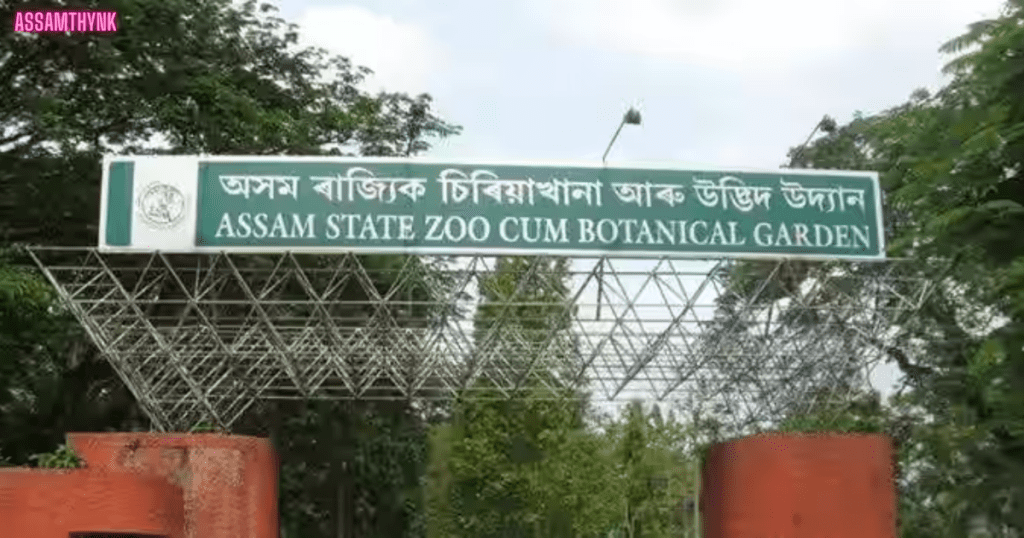 Assam State Zoo cum Botanical Garden