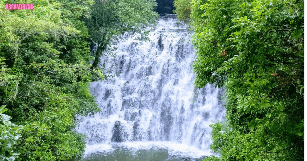 elephant falls