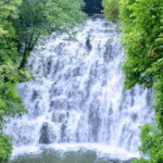 elephant falls