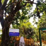 phawngpui national park