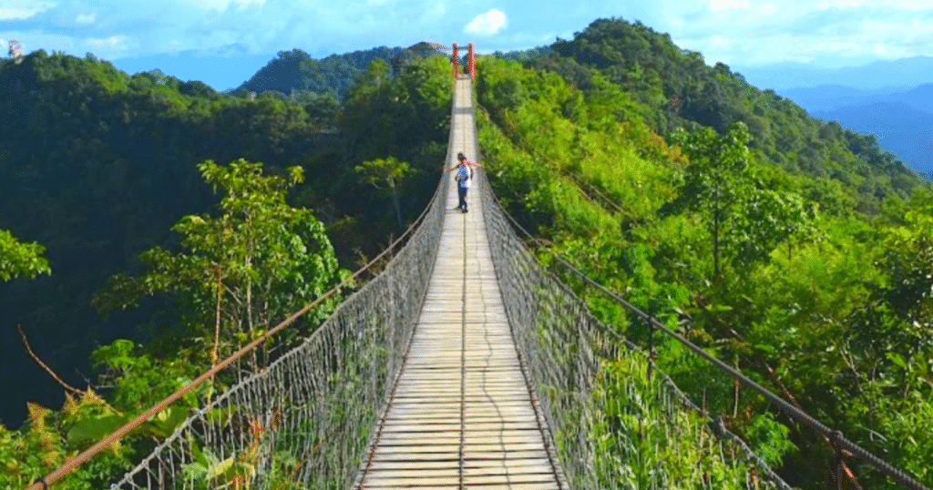 Lalsavunga Park