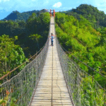 Lalsavunga Park