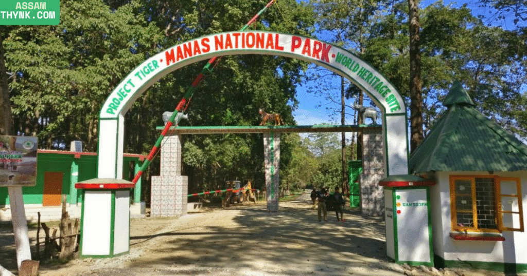 Manas National Park 