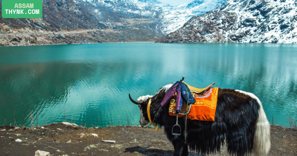 Tsongmo Lake