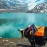 Tsongmo Lake