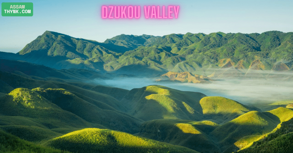 Dzukou Valley
