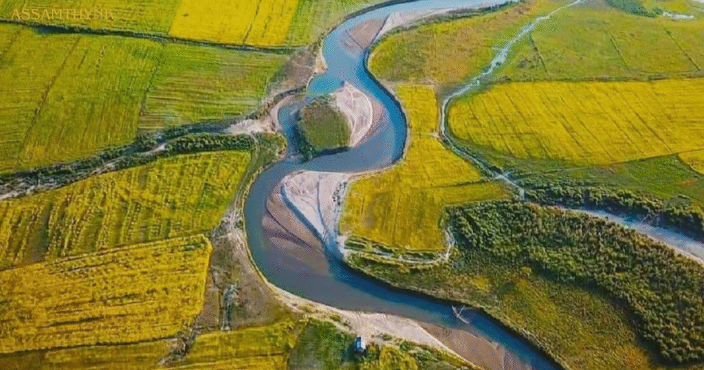Dhemaji
