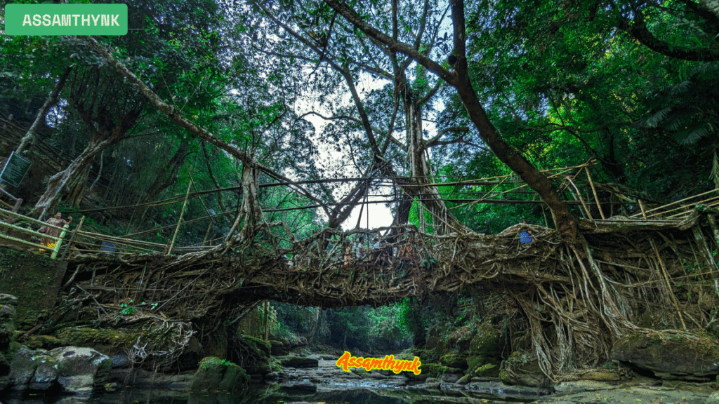 Meghalaya