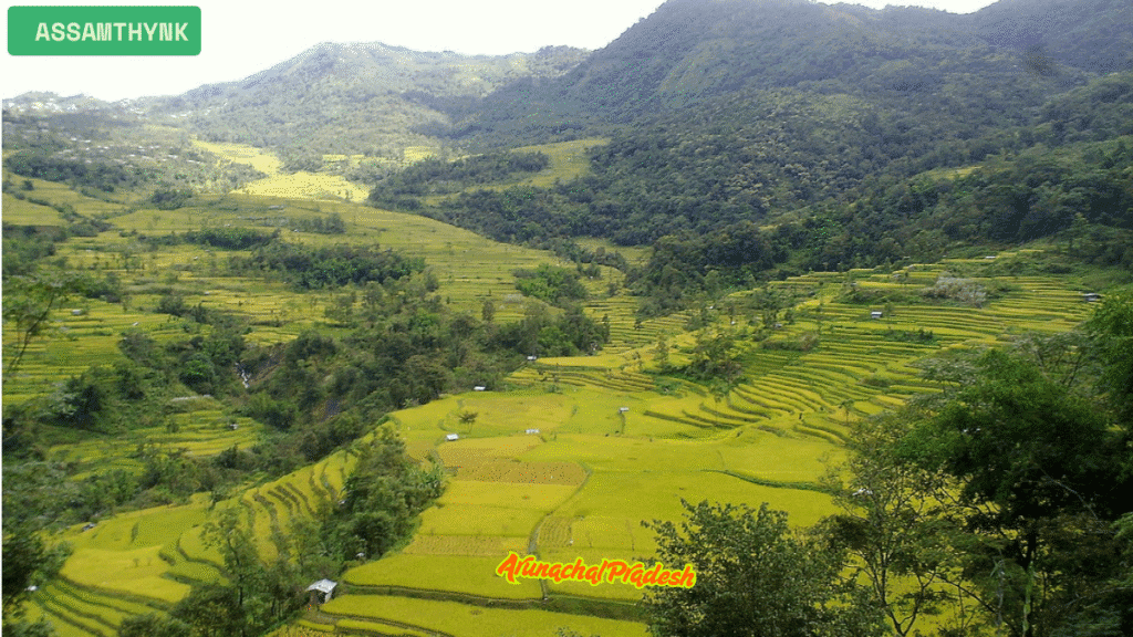Nagaland