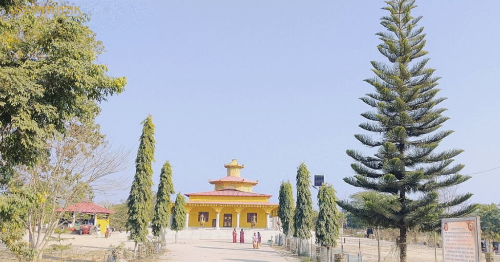 habong