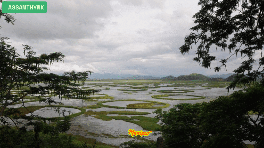 manipur 