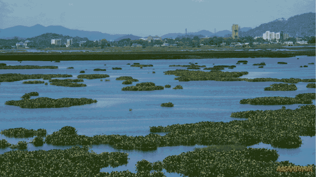 Deepor Beel Wildlife Sanctuary
