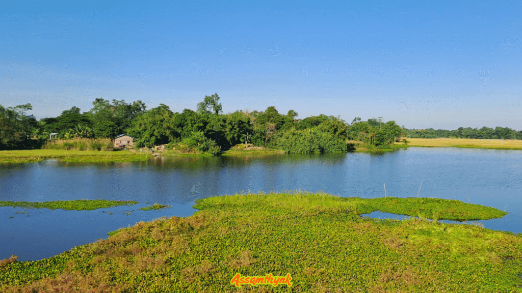 Majuli 