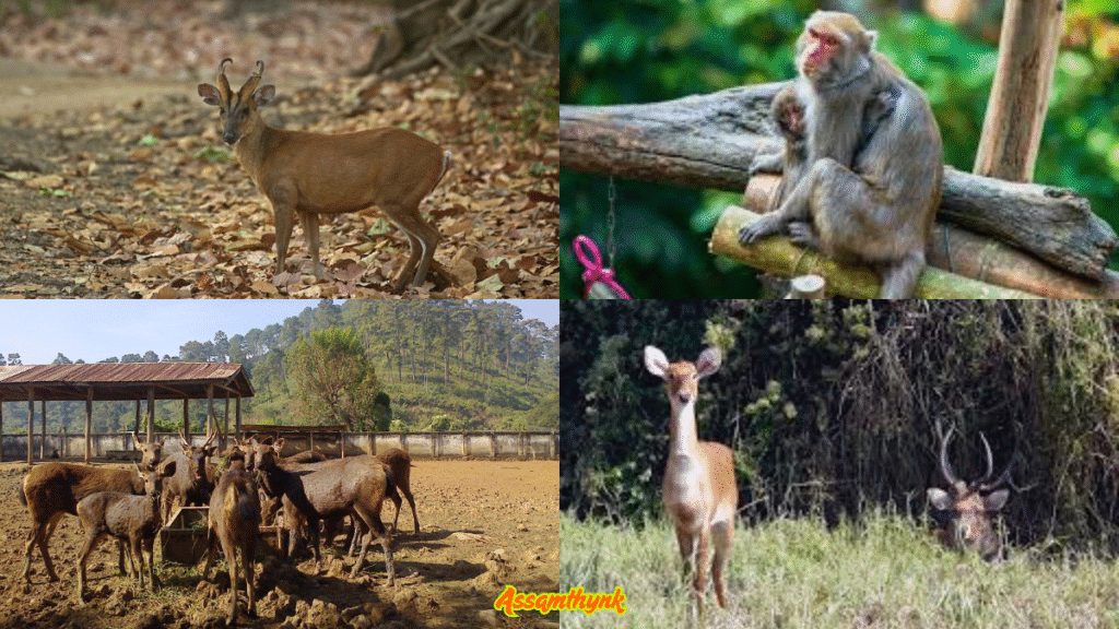 Manipur Zoological Garden