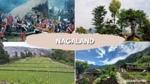Nagaland