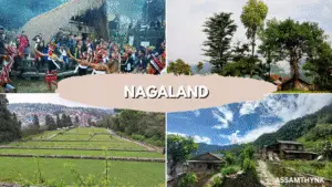 Nagaland
