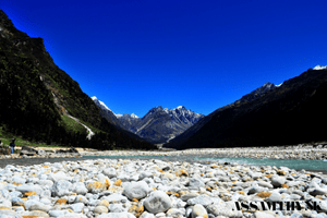 Yumthang Valley