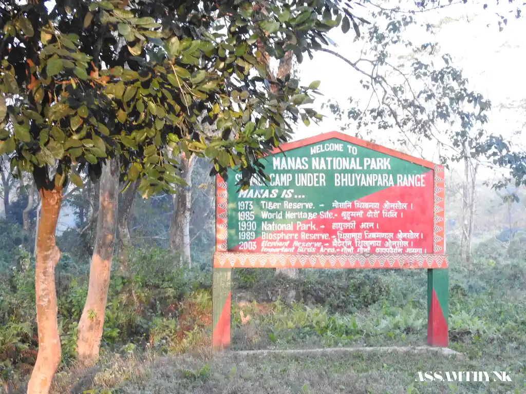 manas national park 